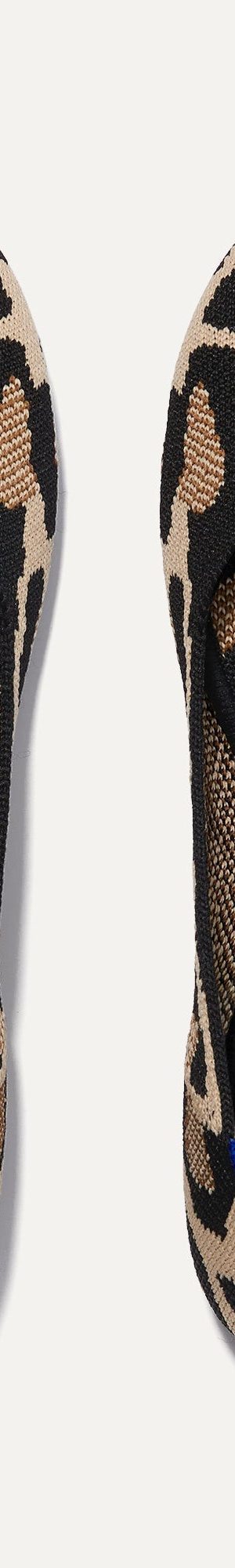 The Flat - Desert Cat